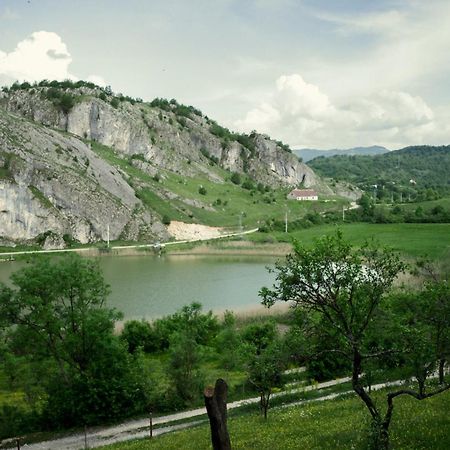 Готель Detached House Milivoje Poscenje Екстер'єр фото