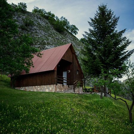 Готель Detached House Milivoje Poscenje Екстер'єр фото