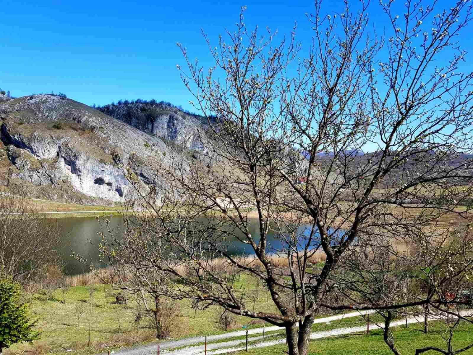 Готель Detached House Milivoje Poscenje Екстер'єр фото