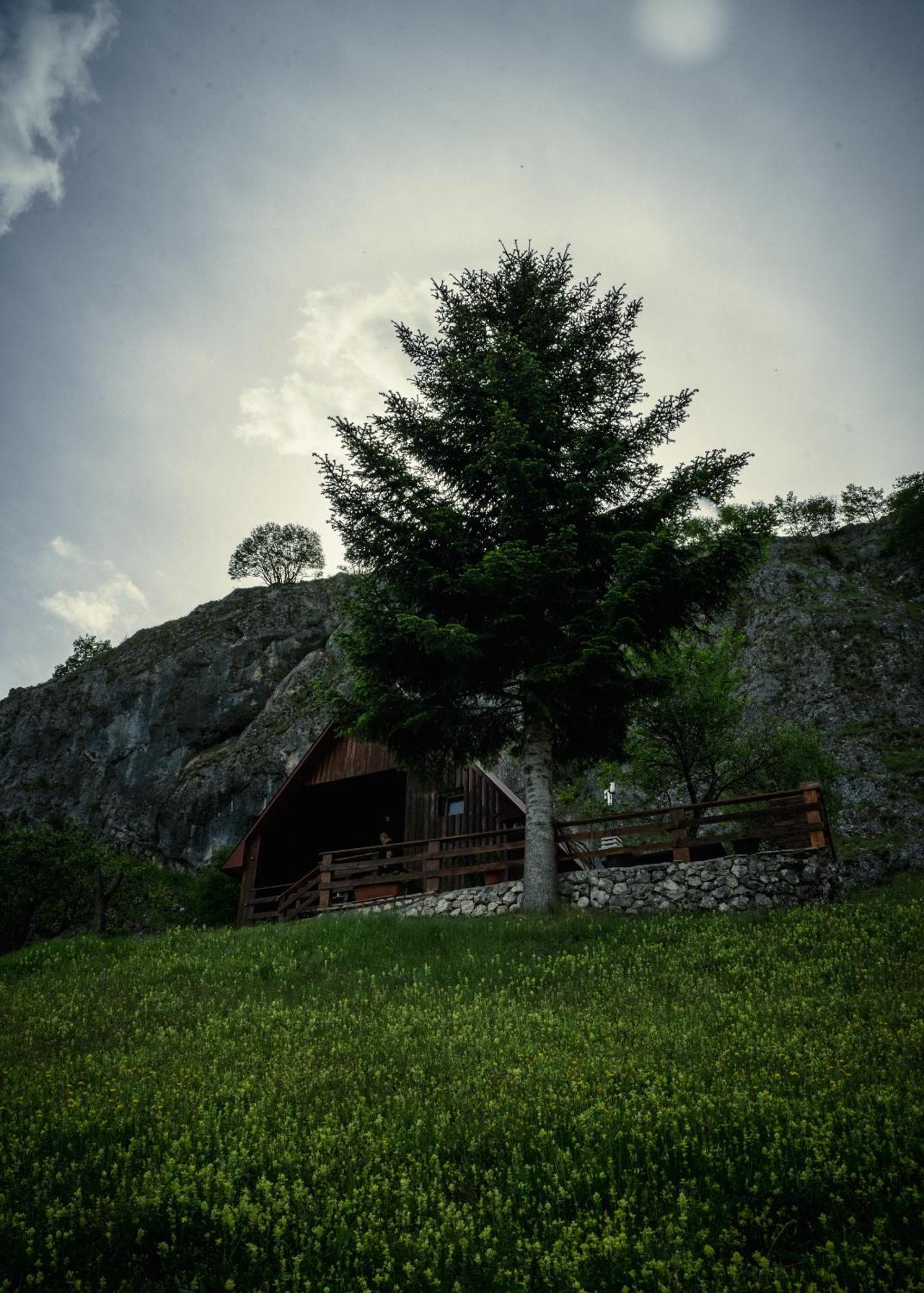 Готель Detached House Milivoje Poscenje Екстер'єр фото